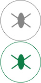 星空xingkong官方高效抗菌