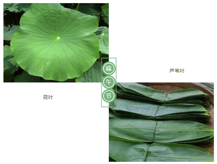 星空xingkong官方医纺