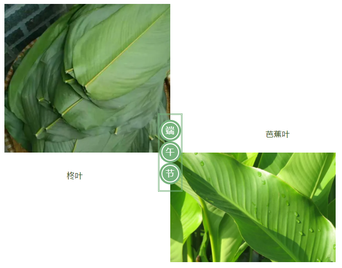 星空xingkong官方医纺