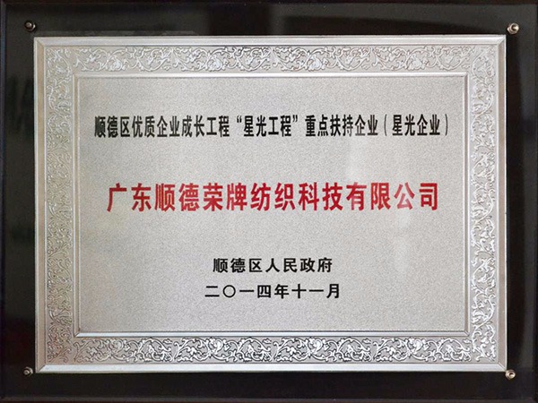 星空xingkong官方-2012年获顺德政府颁发“星光企业”称号