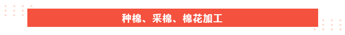 星空xingkong官方医纺