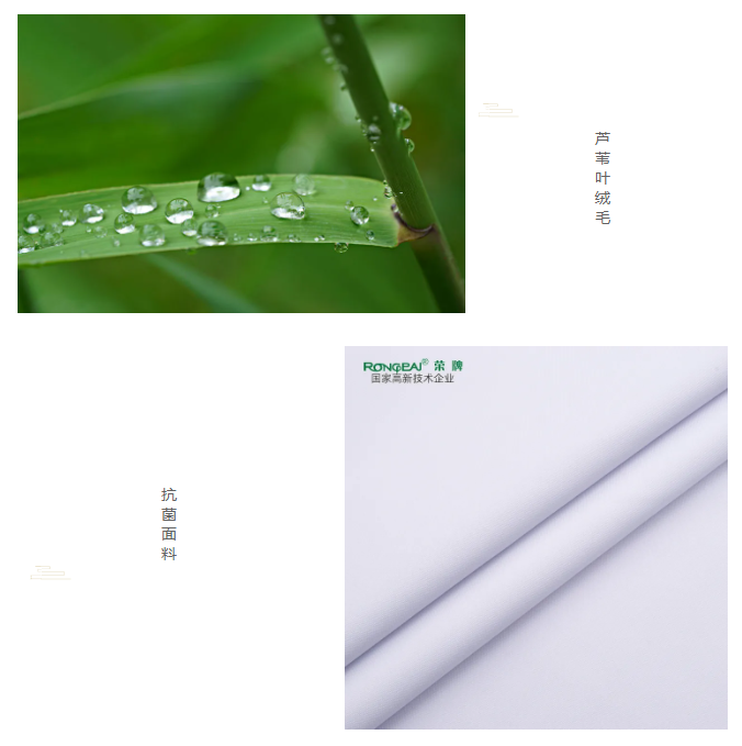 星空xingkong官方医纺